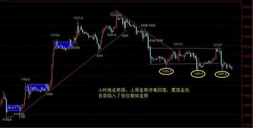 黃金刀客(黃金刀客演員表)
