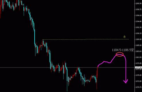 黃金葉中支圖片(黃金葉中支圖片大全售價12)