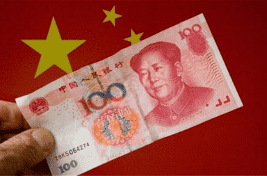 黃金刺樹圖片(金剛刺樹圖片)