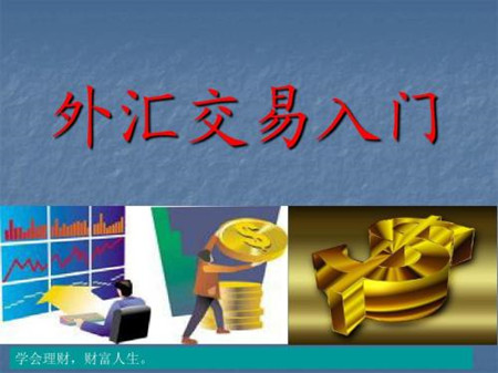 黃金光輝的人生(黃金光輝的人生國語版)
