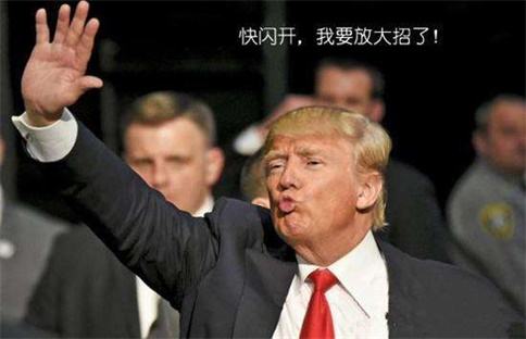 黃金刺木每公斤多少錢(黃金刺木價格)