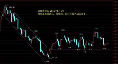 黃金卷01(黃金卷葉螟)