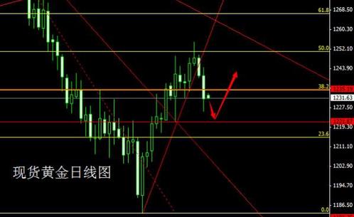 黃金六號豪華游輪(黃金6號游輪)