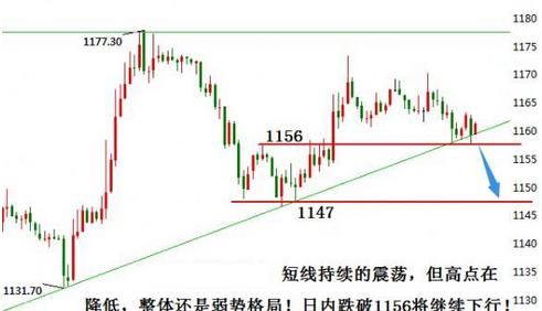 黃金公主號(hào)(黃金公主號(hào)游輪)