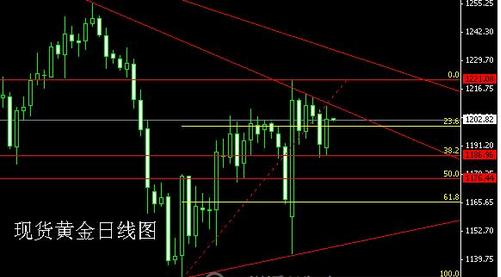 黃金二號游輪(黃金二號游輪高清圖片)