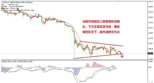 黃金一號水(黃金一號水330ml多少錢)