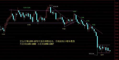 高桿黃金槐(黃金垂槐圖片)