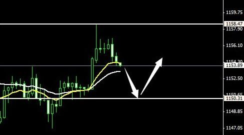 野生黃金草圖片大全(哪里有黃金草)