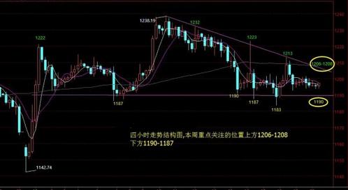 蒸黃金貝的做法大全(蒸黃金貝的做法大全圖解)