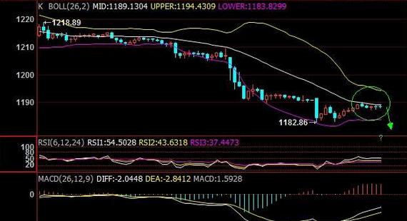 金枝槐和黃金槐的區別(金枝槐和黃金槐的區別圖)