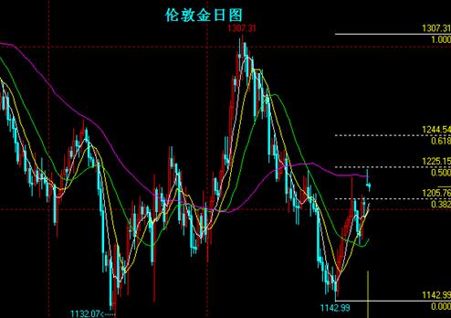 菜百黃金價格多少一克(菜百的黃金價格多少錢一克)