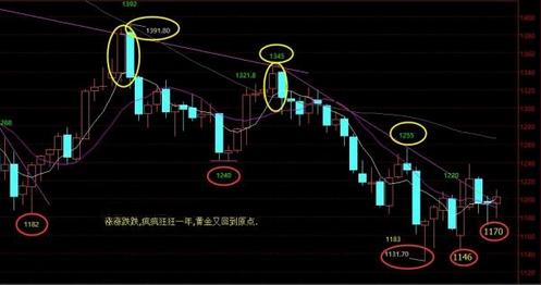 身經(jīng)百戰(zhàn)黃金甲(生經(jīng)百戰(zhàn)黃金甲)