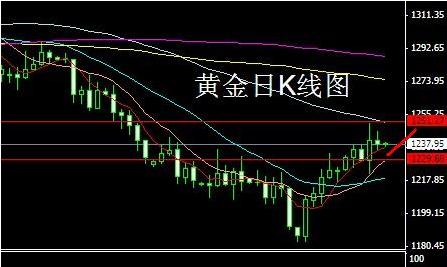 蓮七珠寶黃金價格(蓮七黃金回收價格)
