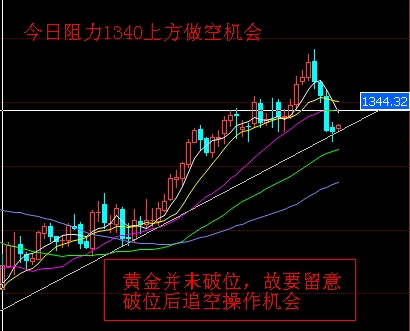 赤瞳黃金七彩(赤瞳黃金七彩魚能做奶媽嗎)