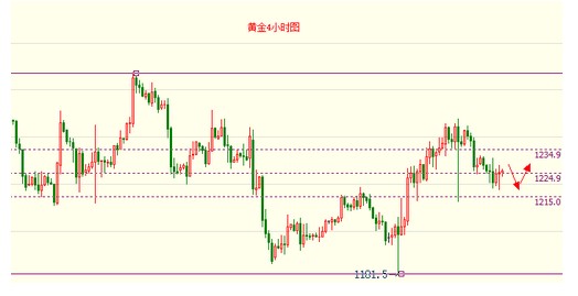 蓮瓣蘭黃金海岸(蓮瓣蘭黃金海岸特征)