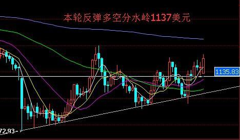 螞蟻會員怎么升級黃金(螞蟻會員怎么升級黃金會員等級)