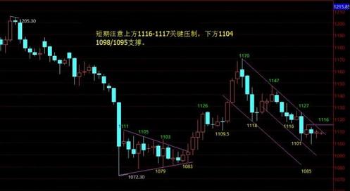 腎黃金是什么藥(腎黃金是什么中藥)
