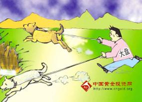 航海王黃金城免費(航海王之黃金城免費完整版下載)