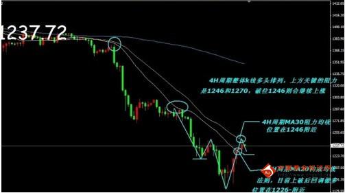 炒期貨黃金被騙(炒黃金期貨違法嗎)