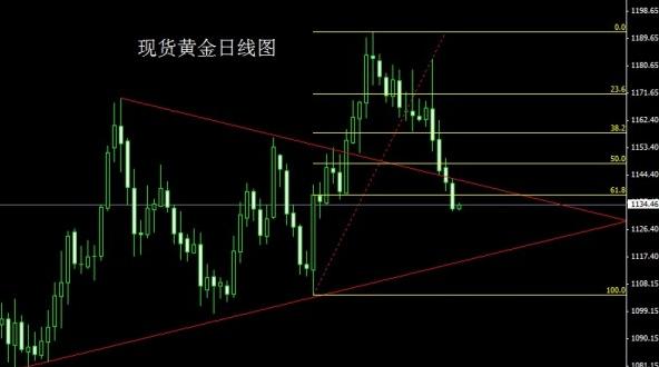 鹽和避難所黃金教(鹽和避難所黃金教好處)