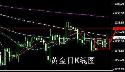 玫瑰金黃金白金哪個(gè)貴(玫瑰金鉑金黃金哪個(gè)貴)