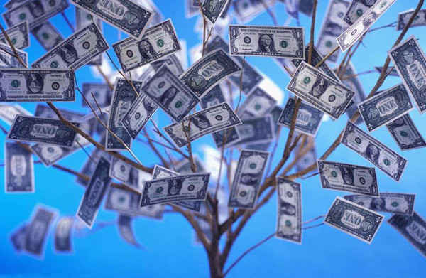 煙臺黃金職業學院分數線(煙臺黃金職業學院分數線2020)