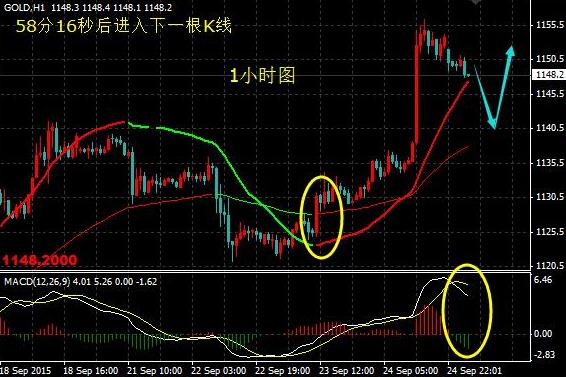 澳洲黃金海岸別墅價(jià)格(澳大利亞海邊別墅價(jià)格)