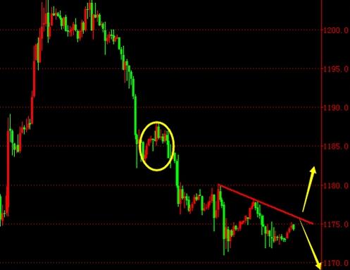 獅王黃金有限責任公司(獅子王集團有限公司)