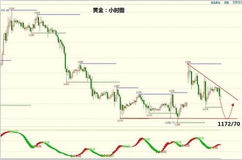 照片黃金比例(照片黃金比例對照)