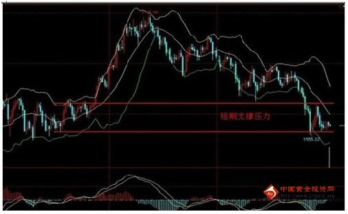 滬黃金主連(滬金主力合約是什么意思)