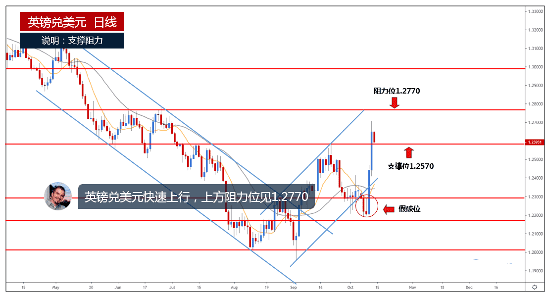 數字黃金官網(數字黃金官網網址)