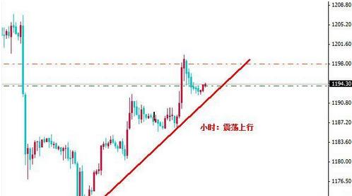 江都黃金大道(江都黃金大道開放嗎)