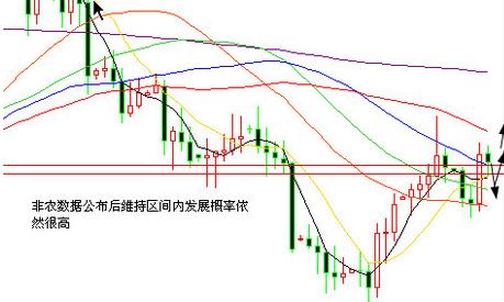 日本黃金餐是真的嗎(日本黃金餐是什么做的)
