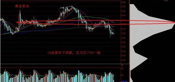 怎么查個人黃金編碼(黃金檢測編碼)