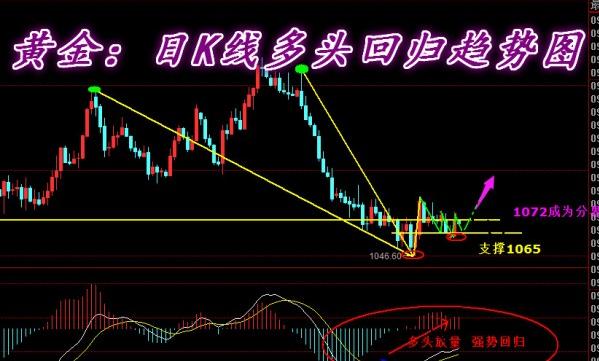 挖黃金游戲(挖黃金游戲下載破解版中文)