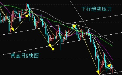 無軒之黃金手炮(無軒之黃金手炮在哪買)