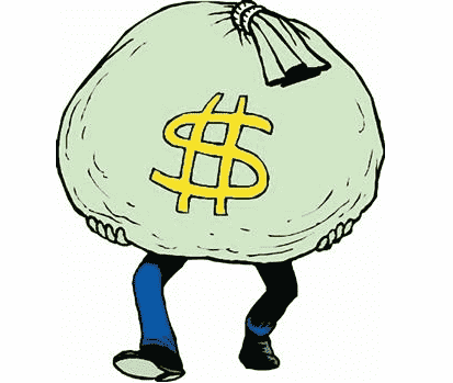 日本黃金晏(日本黃金杉)