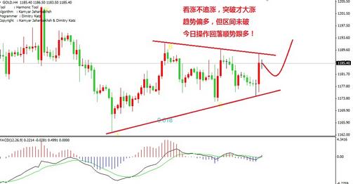 彩虹六號(hào)黃金版(彩虹六號(hào)黃金版有什么)