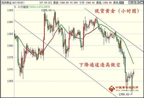 抱著黃金飛翔(抱著黃金飛翔小說在線閱讀)