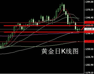 山東黃金股票走勢圖(山東黃金股票行情走勢)