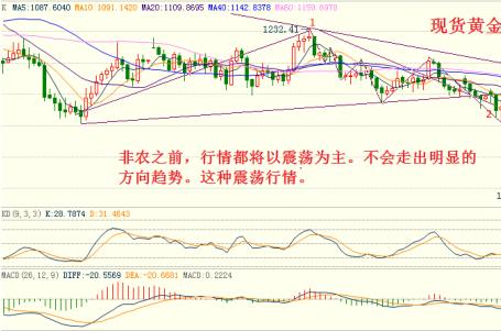 寶具招蕩的黃金劇場(寶具招蕩的黃金劇場出自)