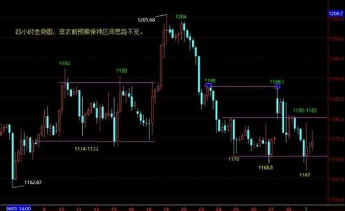 山東黃金股票停牌公告(山東黃金股票最新消息)