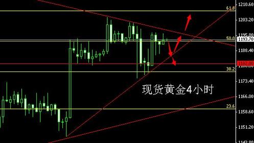 布里斯班黃金海岸天氣(布里斯班黃金海岸自由行攻略)