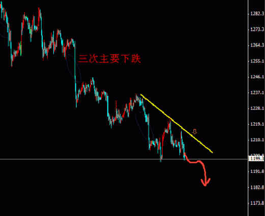 大黃金葉(大黃金葉小黃金葉)
