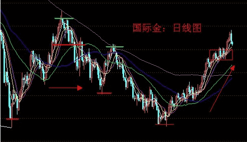 吃圣水黃金經歷(吃圣水和她的黃金)