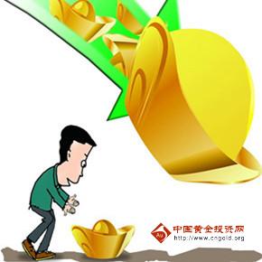 國金黃金小蘋果(中國黃金金蘋果)