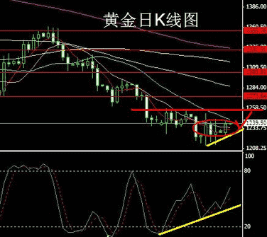 哈爾濱黃金多少錢一克(哈爾濱黃金多少錢一克2021年)