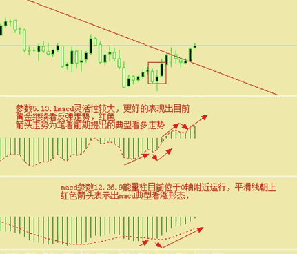 健美黃金賽視頻(黃金健美操視頻)
