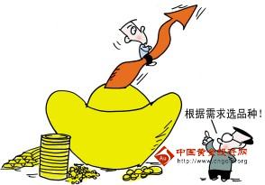 劉和剛黃金100秒(黃金100秒于新偉)