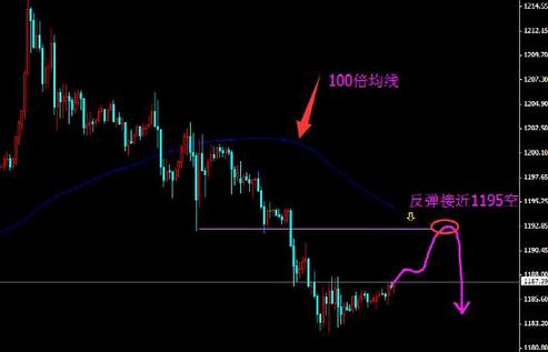 優(yōu)酷黃金會員可以幾個人用(優(yōu)酷黃金會員電腦能用不)